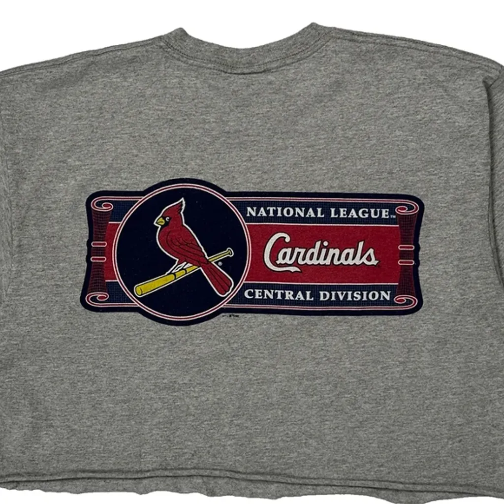 Cardinals Nike Cropped T-Shirt - Medium Grey Cotton - Image 6