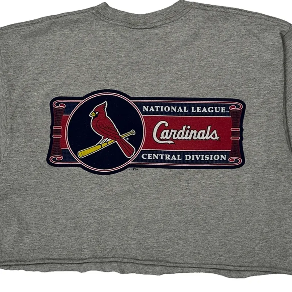 Cardinals Nike Cropped T-Shirt - Medium Grey Cotton - Image 7