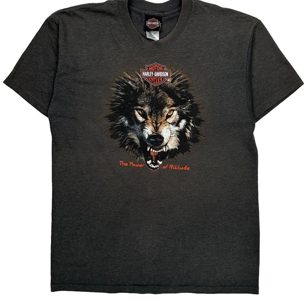 Made In USA, Rocky Mountain 25Th Anniversary Harley Davidson Graphic T-Shirt - Large Grey Cotton - Image 4