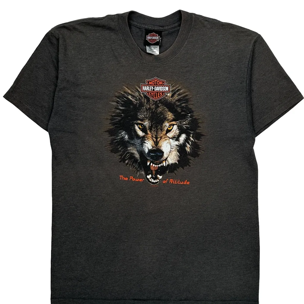 Made In USA, Rocky Mountain 25Th Anniversary Harley Davidson Graphic T-Shirt - Large Grey Cotton - Image 5