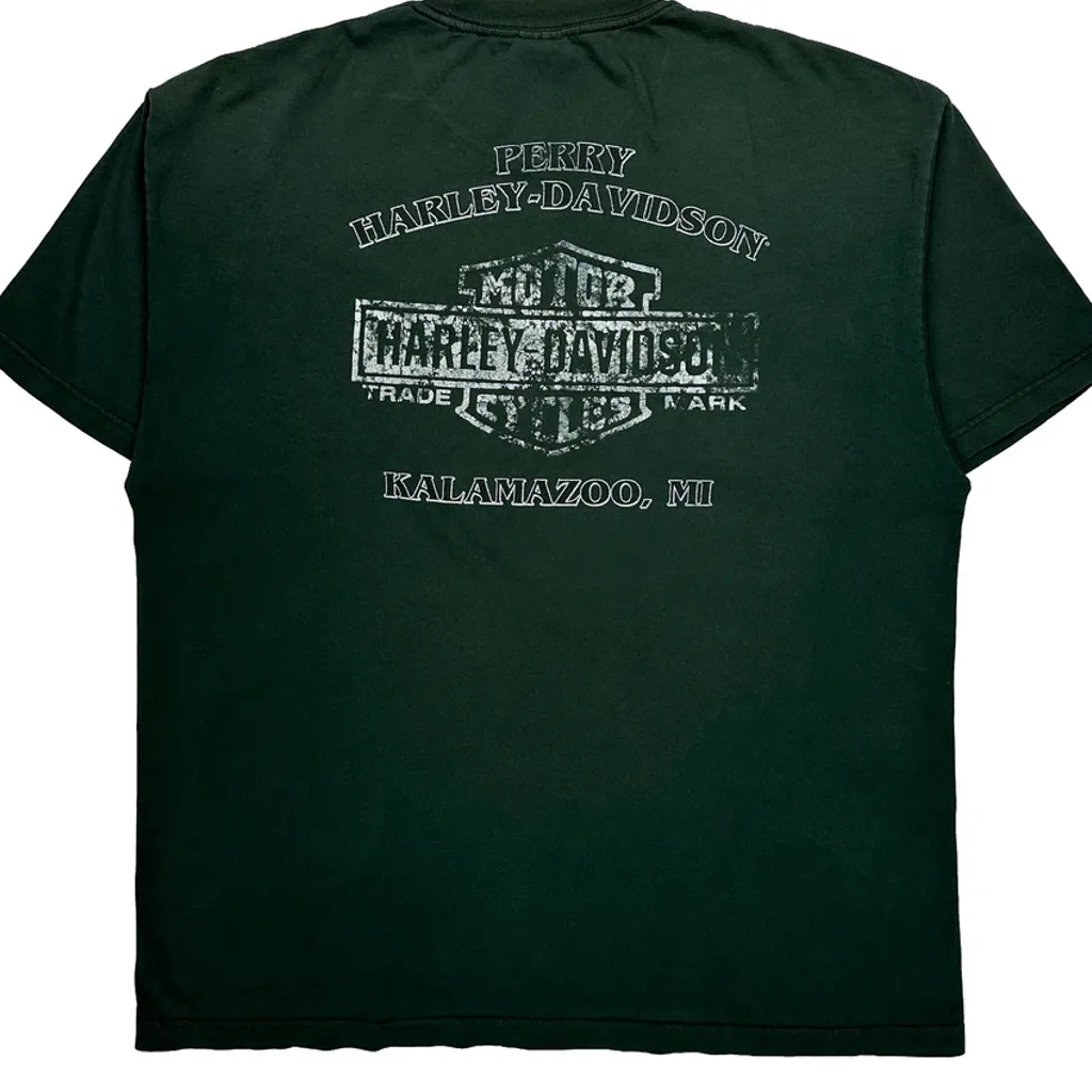 Perry Harley-Davidson Kalamazoo, Mi Harley Davidson Graphic T-Shirt - XL Green Cotton - Image 7